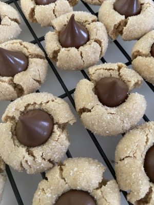 IMG_2820.jpeg IMG_2820.jpeg