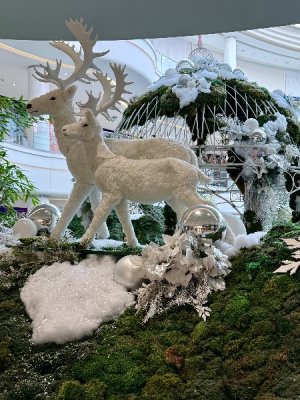 IMG_5006.jpeg IMG_5006.jpeg