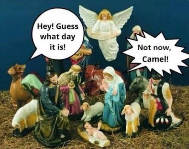 IMG_5007.jpeg IMG_5007.jpeg