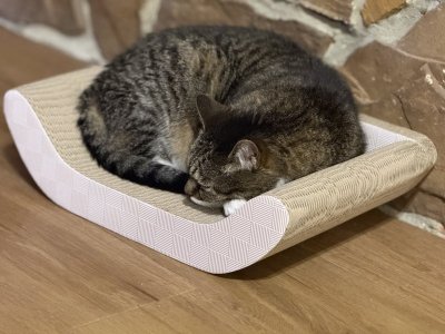 IMG_2042.jpeg IMG_2042.jpeg