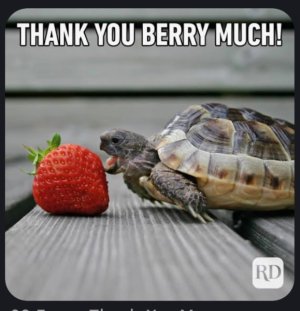 IMG_9521.jpeg IMG_9521.jpeg