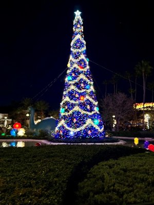 IMG_5014.jpeg IMG_5014.jpeg