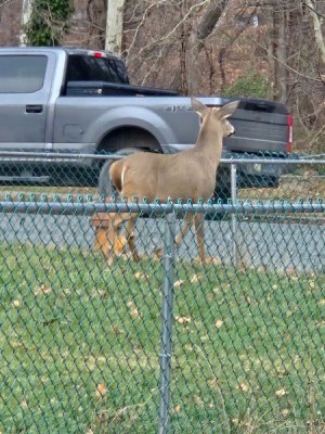 20251213_153809.jpg 20251213_153809.jpg