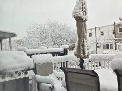 20251214_100344.jpg 20251214_100344.jpg