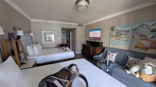 PXL_20251206_171839419.jpg PXL_20251206_171839419.jpg