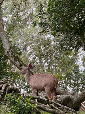 IMG_5018.jpeg IMG_5018.jpeg