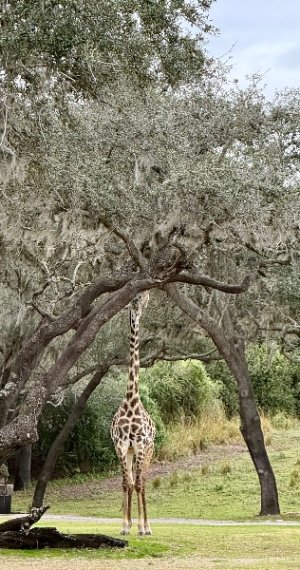 IMG_5022.jpeg IMG_5022.jpeg