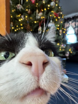 IMG_3404.jpeg IMG_3404.jpeg