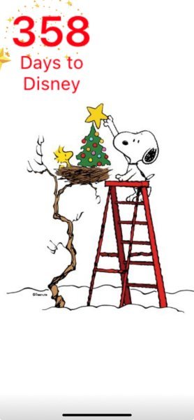 SW WOODSTOCK TREE TRIMMING.jpeg