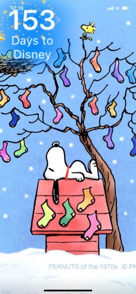 SW STOCKING TREE.jpeg