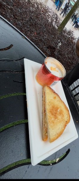 IMG_3692.jpeg IMG_3692.jpeg