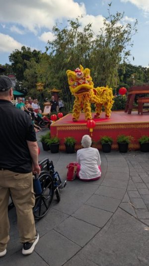 PXL_20251206_180227004.jpg PXL_20251206_180227004.jpg