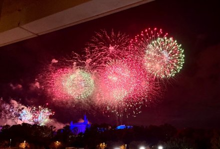 IMG_5105.jpeg IMG_5105.jpeg