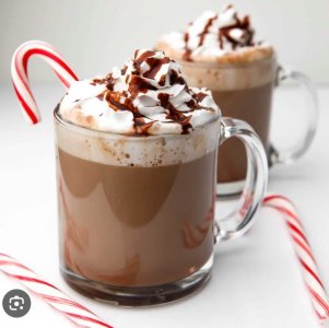 IMG_2811.jpeg IMG_2811.jpeg