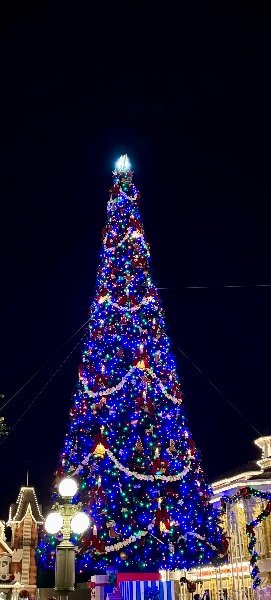 IMG_5134.jpeg IMG_5134.jpeg