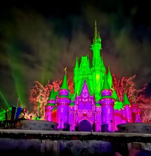 IMG_5242.jpeg IMG_5242.jpeg