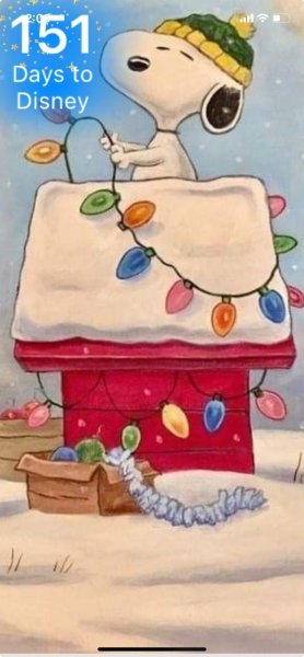 SNOOPY DOGHOUSE TRIMMING.jpeg