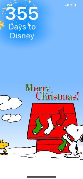 SW DOGHOUSE STOCKINGS.jpeg