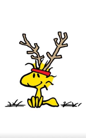 WOODSTOCK REINDEER.jpg