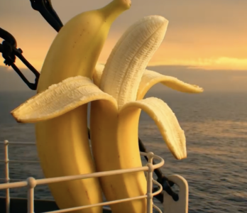 Screenshot 2025-12-21 at 17.31.22.png