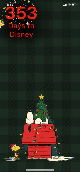 SW CHRISTMAS GREEN PLAID.jpeg