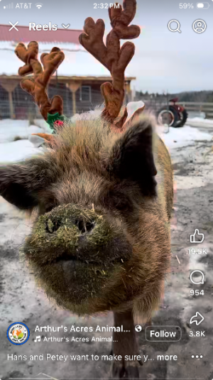 Screenshot 2025-12-22 at 2.32.14 PM.png Screenshot 2025-12-22 at 2.32.14 PM.png