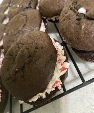 IMG_2837.jpeg IMG_2837.jpeg