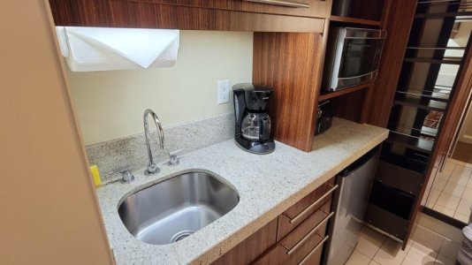 bay-lake-tower-kitchenette-landscape.jpg