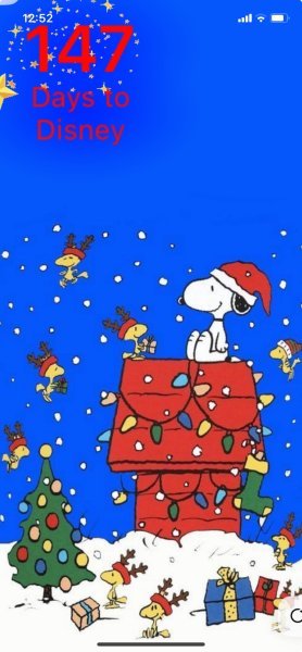 SW SNOOPY SANTA AND WOODSTOCK ELFS AND REINDEER.jpeg