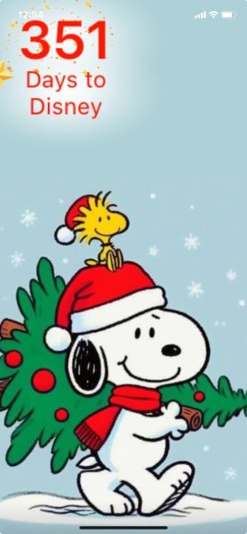 SW BRINGING TREE HOME.jpeg