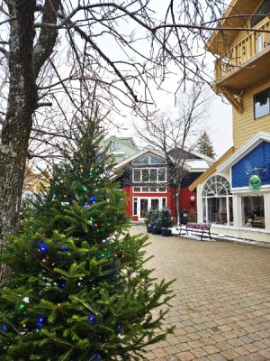 20251225_110403.jpg 20251225_110403.jpg