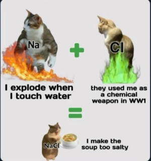 Screenshot 2025-12-26 at 10.25.29 AM.png