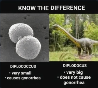 Screenshot 2025-12-26 at 10.22.56 AM.png