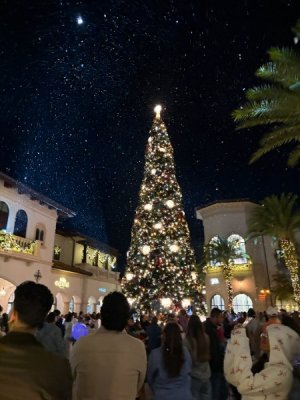 IMG_5984.JPG IMG_5984.JPG