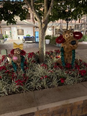 IMG_6024.JPG IMG_6024.JPG