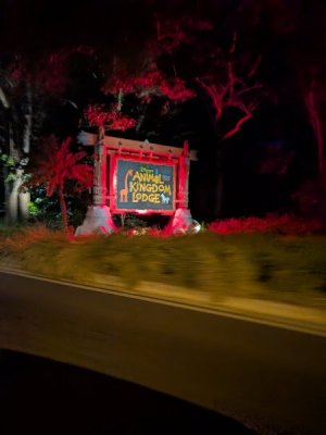 PXL_20251129_041321199.jpg PXL_20251129_041321199.jpg