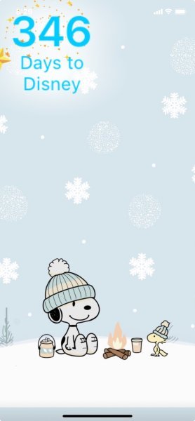 SW WINTER CAMPFIRE.jpeg