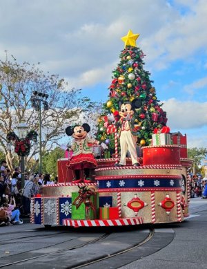 1000030569.jpg 1000030569.jpg