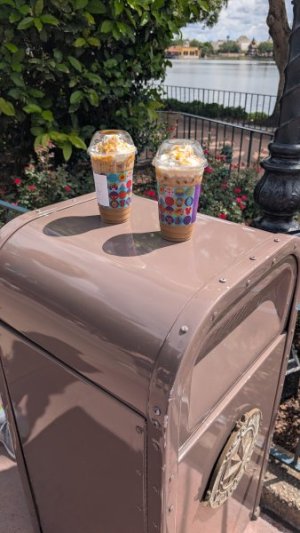 PXL_20250923_160844076.jpg PXL_20250923_160844076.jpg