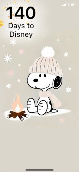 SNOOPY CAMPFIRE.jpeg