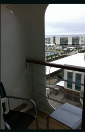 IMG_2806.jpeg IMG_2806.jpeg