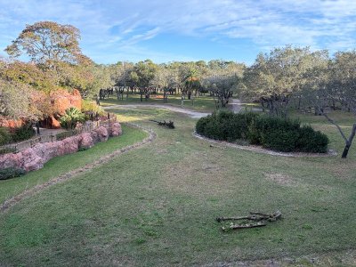 IMG_6057.JPG IMG_6057.JPG