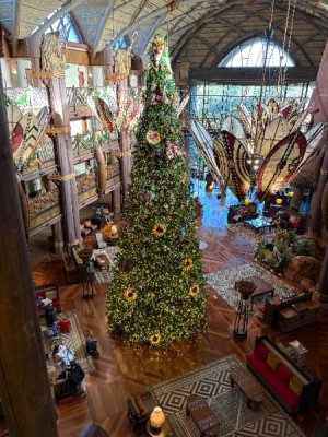 IMG_6077.JPG IMG_6077.JPG