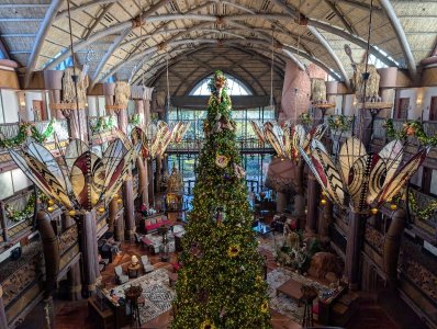 PXL_20251129_133102173.jpg PXL_20251129_133102173.jpg