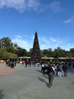 IMG_6098.JPG IMG_6098.JPG