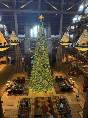 1767186943405.jpeg 1767186943405.jpeg