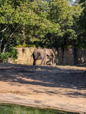 PXL_20251129_151908253.jpg PXL_20251129_151908253.jpg