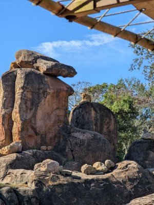 PXL_20251129_152516292.jpg PXL_20251129_152516292.jpg