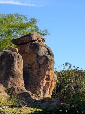 PXL_20251129_152633829.jpg PXL_20251129_152633829.jpg