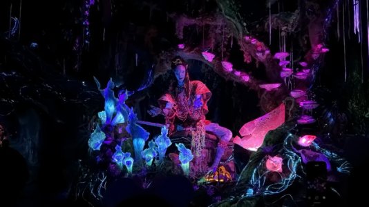 IMG_6299.JPG IMG_6299.JPG